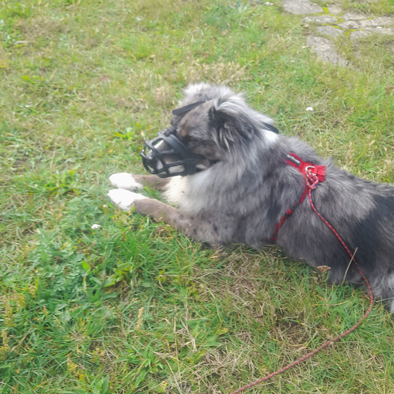 Bailey´s erster Tag