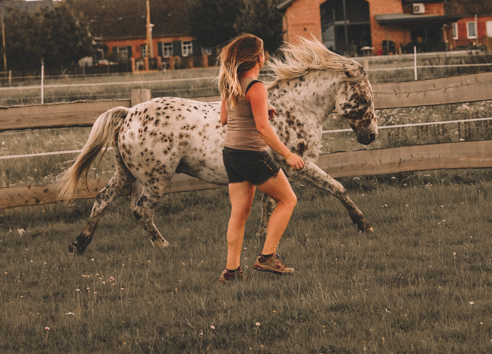 tiergestütztes Coaching