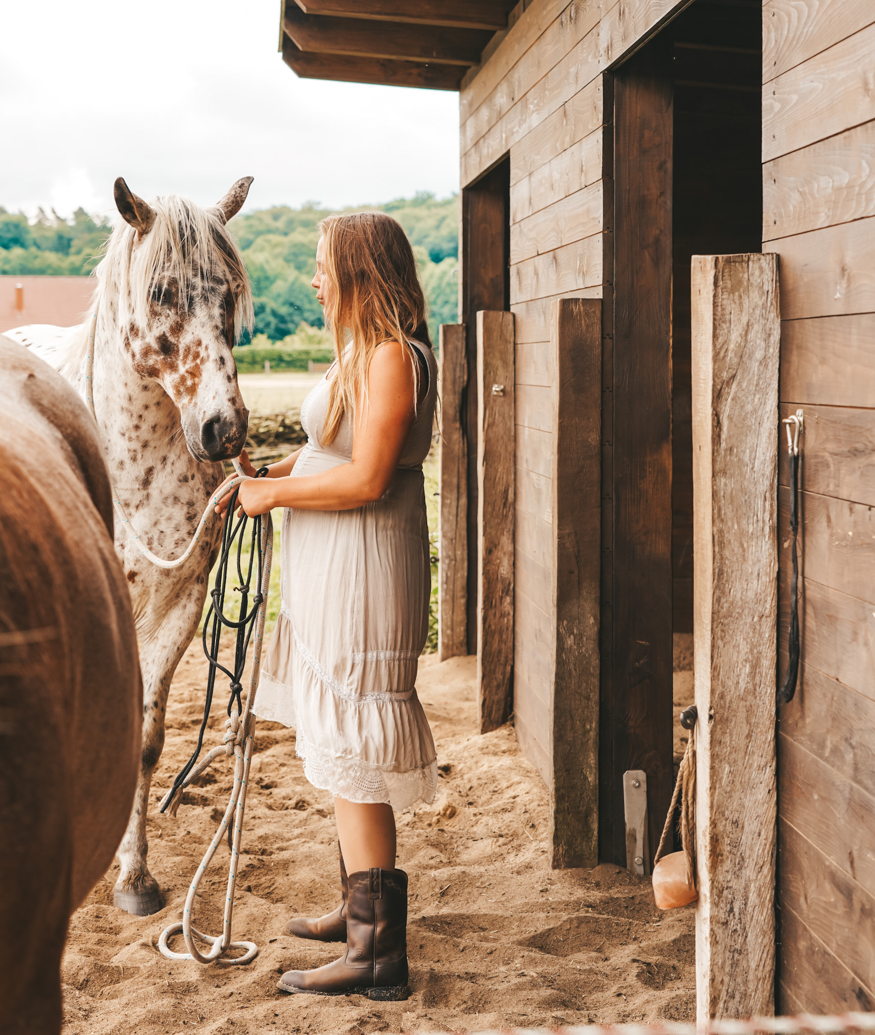 Tiergestütztes Coaching