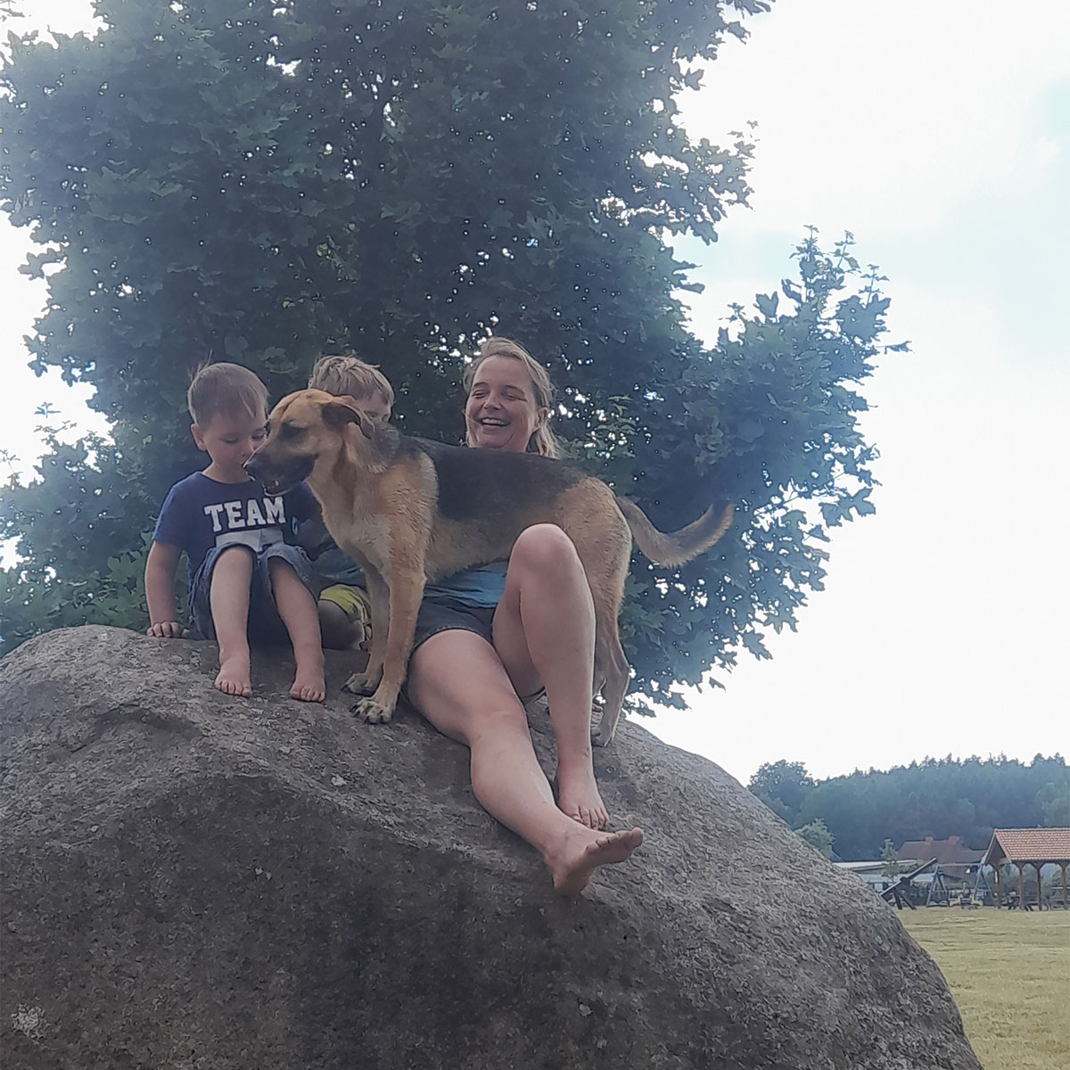 tiergestütztes Coaching