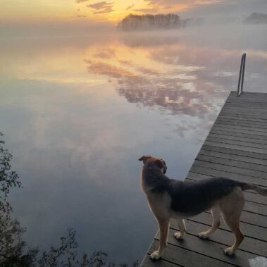 Tierkommunikatioszentrum - Marie-Kristin Pribbernow