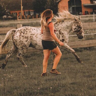 Tierkommunikatioszentrum - Marie-Kristin Pribbernow