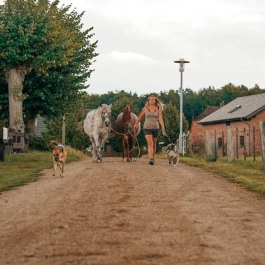 Tierkommunikatioszentrum - Marie-Kristin Pribbernow