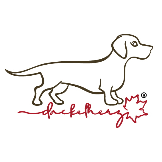 Logo Dackelherz - Tierfotografie und Grafikdesign